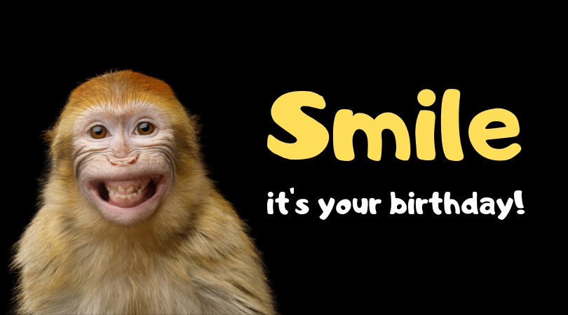 monkey birthday